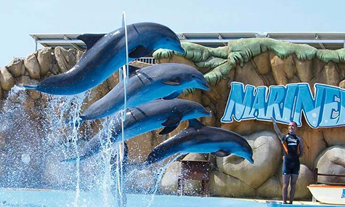 Marine Land Mallorca